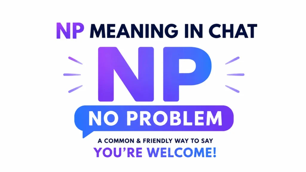 np-meaning-in-chat