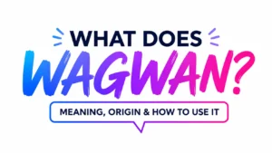 what-does-wagwan-mean